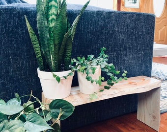 Modern Planter Bench Etsy