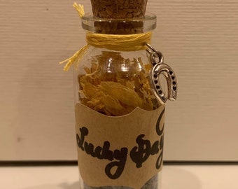 Lucky Day Spell Jar - Miniature Jar with Herbs and Gemstones for Luck, Prosperity, and Fortune- Pocket Spell Witch Wicca Intention