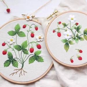 3D Strawberry  Embroidery Kit,3D Plant  Embroidery,Flower  Embroidery Kit,Modern Crewel Embroidery Kit,Strawberr Embroidery Kit For Beginner