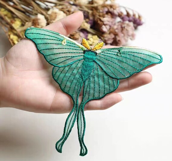 Parches de mariposa hotsell