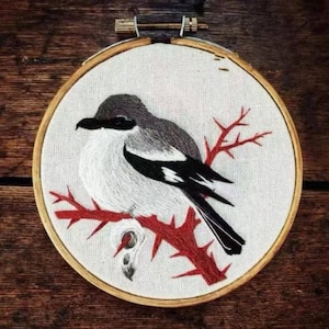3D Magpie in branch  Embroidery Kit, Ostrich  Embroidery Kit, Bird Modern Crewel Embroidery Kit,Embroidery Kit For Beginner