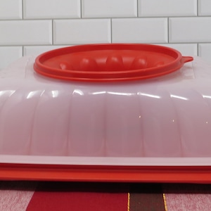May include: A pink and red plastic food storage container with a lid. The container has a rectangular base and a domed top with vertical ridges. The lid is red and oval-shaped. The container is on a red and white patterned surface.
