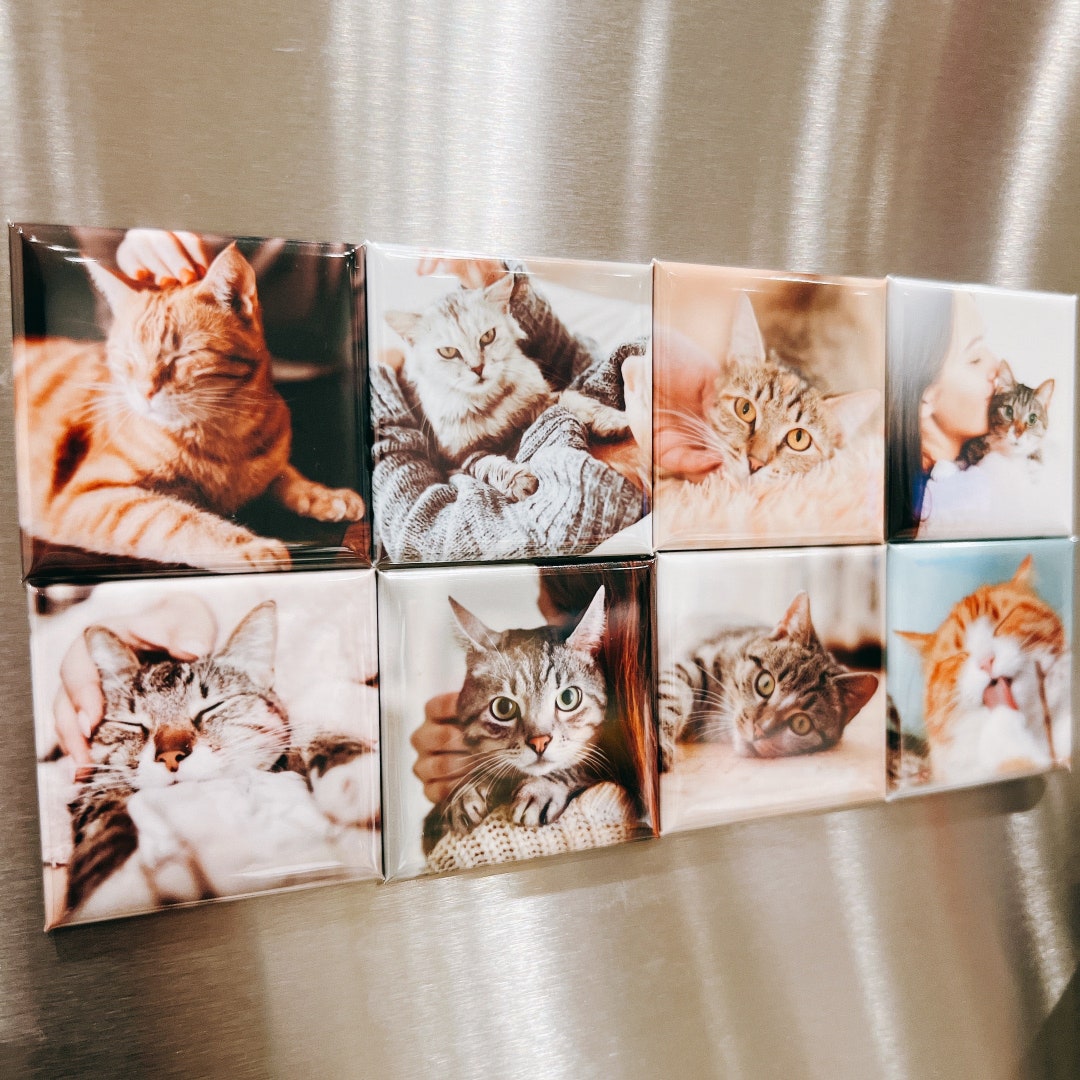 Custom Cat Photo Fridge Magnets, Personalized Pet Picture Magnets ...