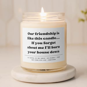 Our Friendship is Like This Candle Funny Gift Friendship Birthday Gift for Friends Funny Friend Gift BFF Gift for Besties Gift for Her