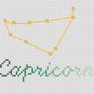 Capricorn Constellation *PATTERN ONLY* Cross Stitch Astrology Astronomy Horoscope Earth Sign December January Winter Birthday