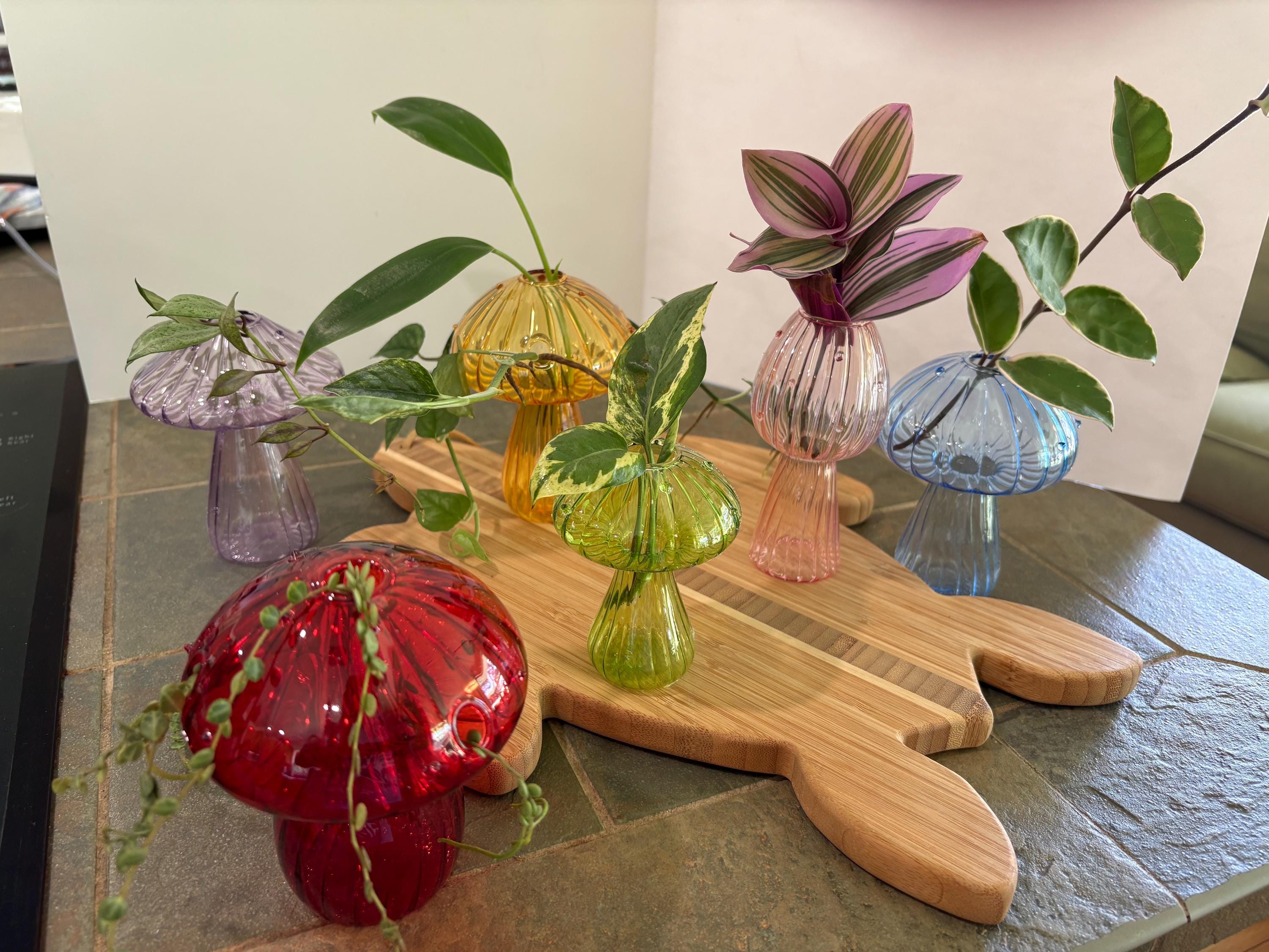 Mushroom Glass Vase or Propagation Vessel/Jar Mother’s Day Gift
