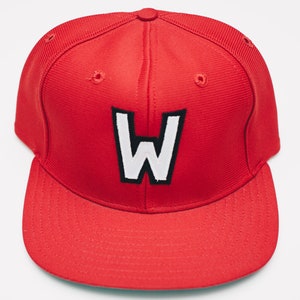 Washington Wild Things? &quot;W&quot; MiLB Snapback Nylon USA Vintage NWOT