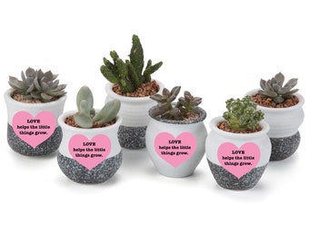 Plant Unique Baby Shower Favor Etsy