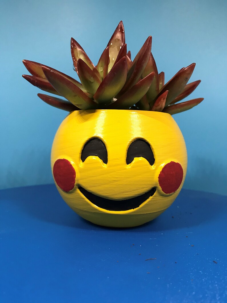 Emoji Flower/plant Pot Planter 3D Printed Blush Poop Etsy