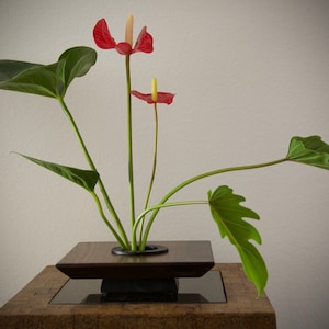Ikebana Uddo