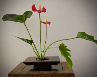 May include: A red and yellow anthurium plant in a dark wood vase with a black base. The plant is arranged in a minimalist style with the leaves and flowers extending out from the vase.