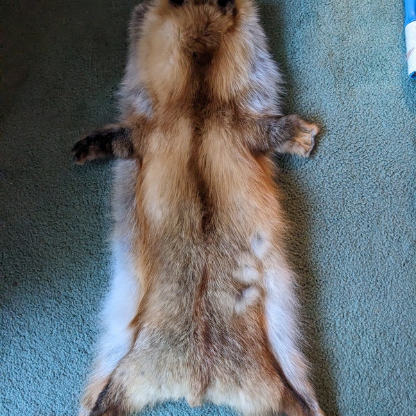 Taxidermy Fox Fur Pelt Rug/Wall-hanger (See description)