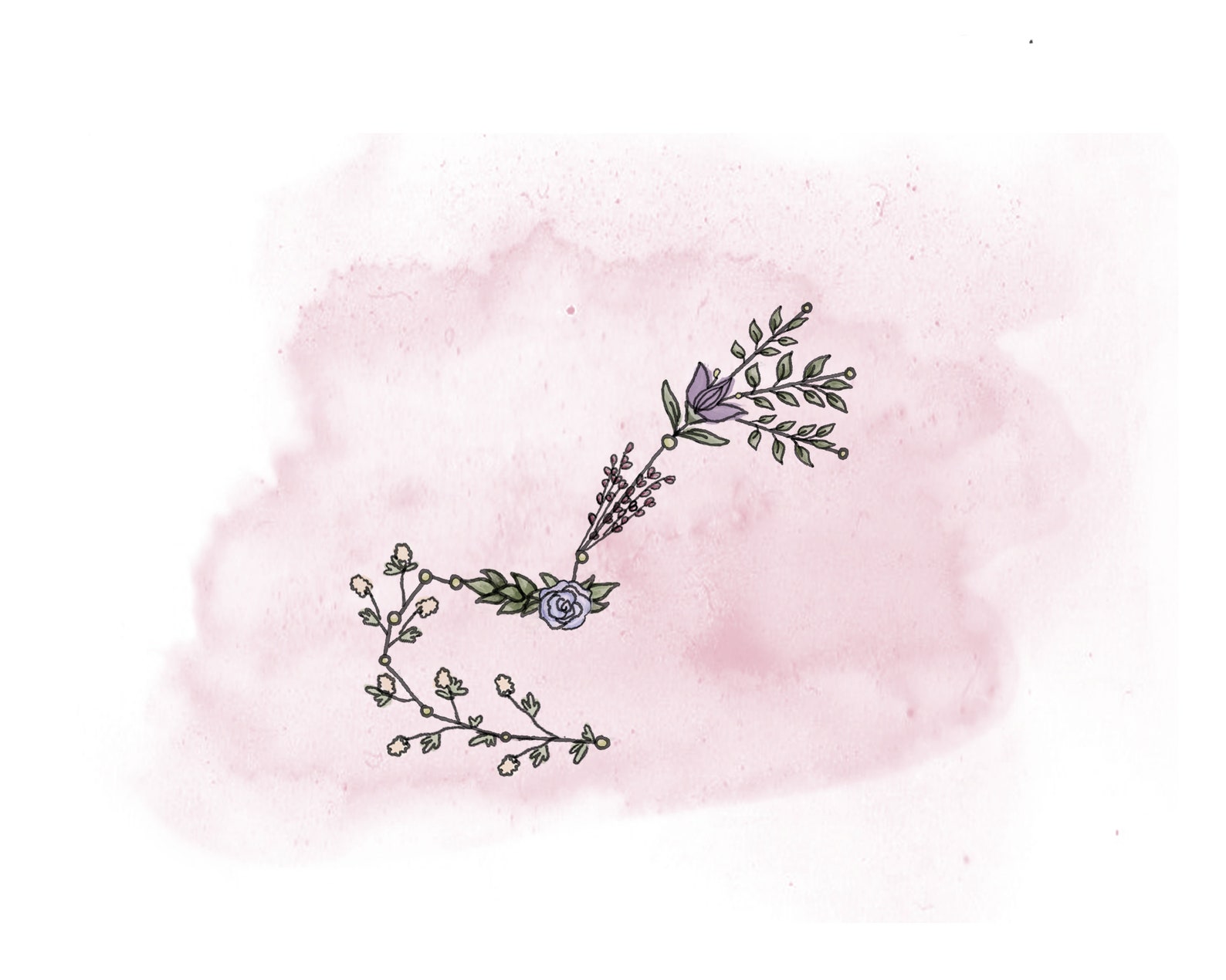 Scorpio Floral Zodiac Constellation Astrology Wall Art, Sun Sign, Star