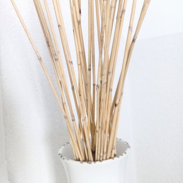 Dried Reeds - Etsy