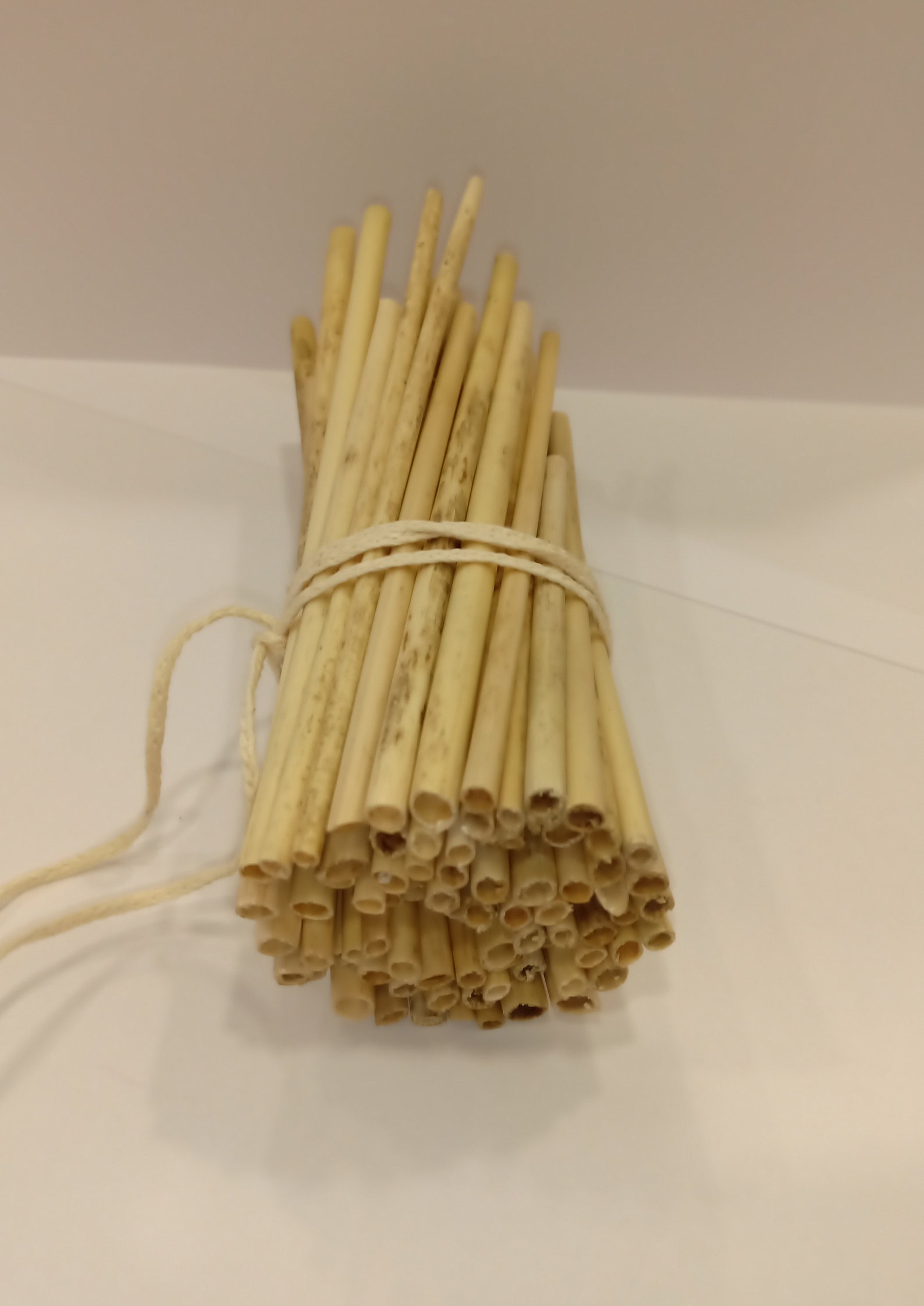 100pcs Ecological Dried Reeds Straws Stems for Craft project Etsy