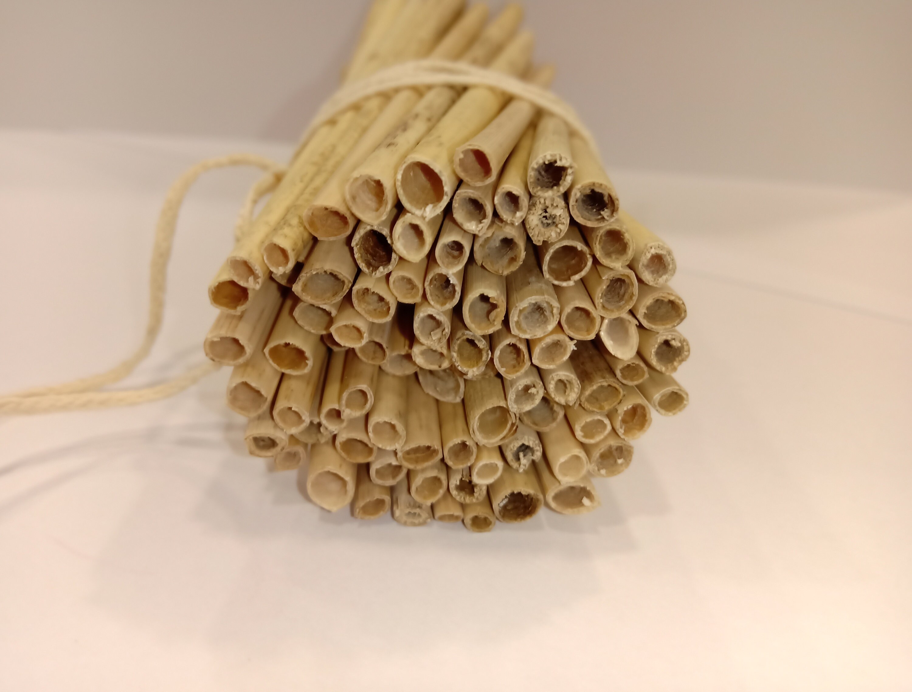 100pcs Ecological Dried Reeds Straws Stems for Craft project Etsy