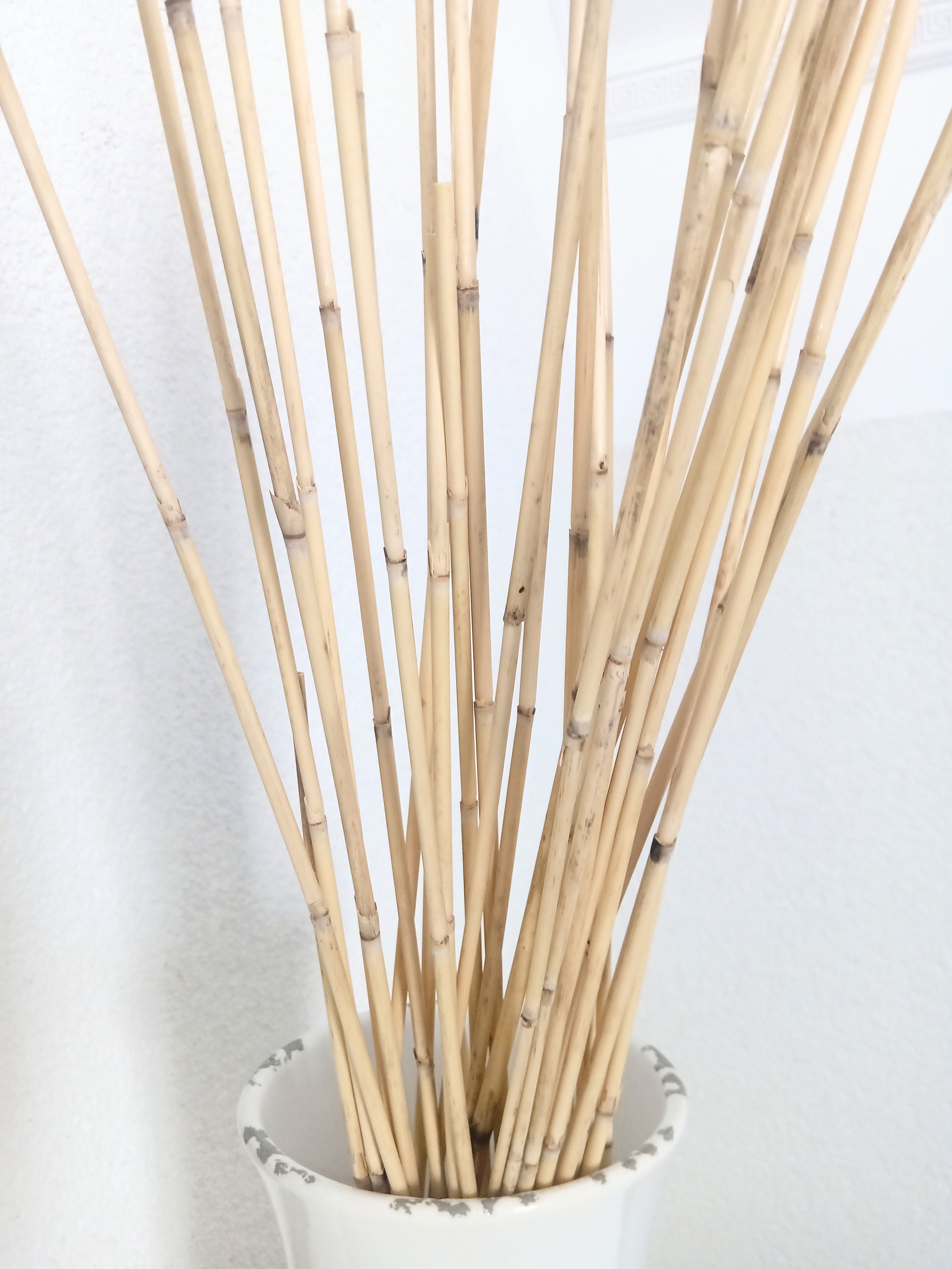 Extra Long Dried Reeds Straws Stems for Craft Project Etsy Canada