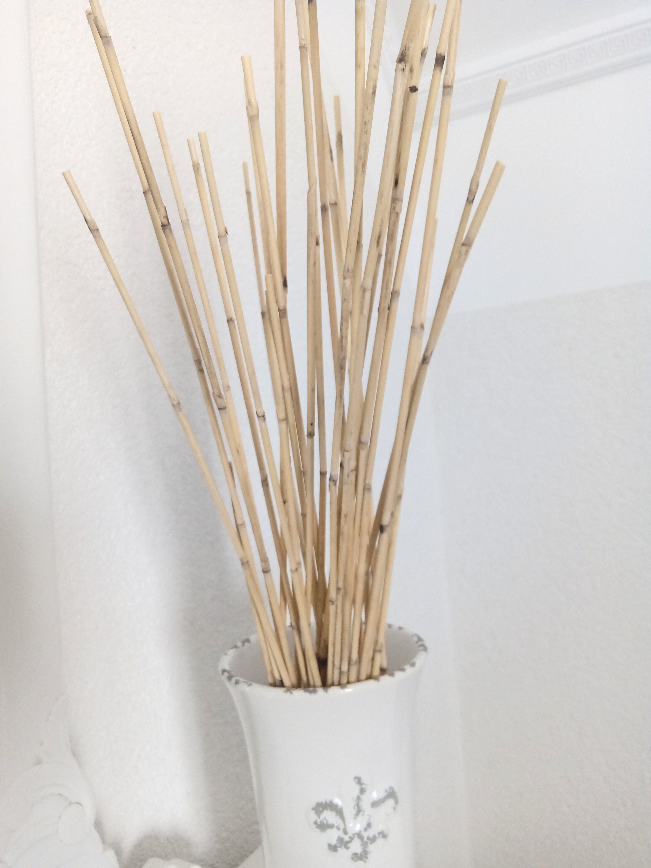 Extra Long Dried Reeds Straws Stems for Craft project Etsy