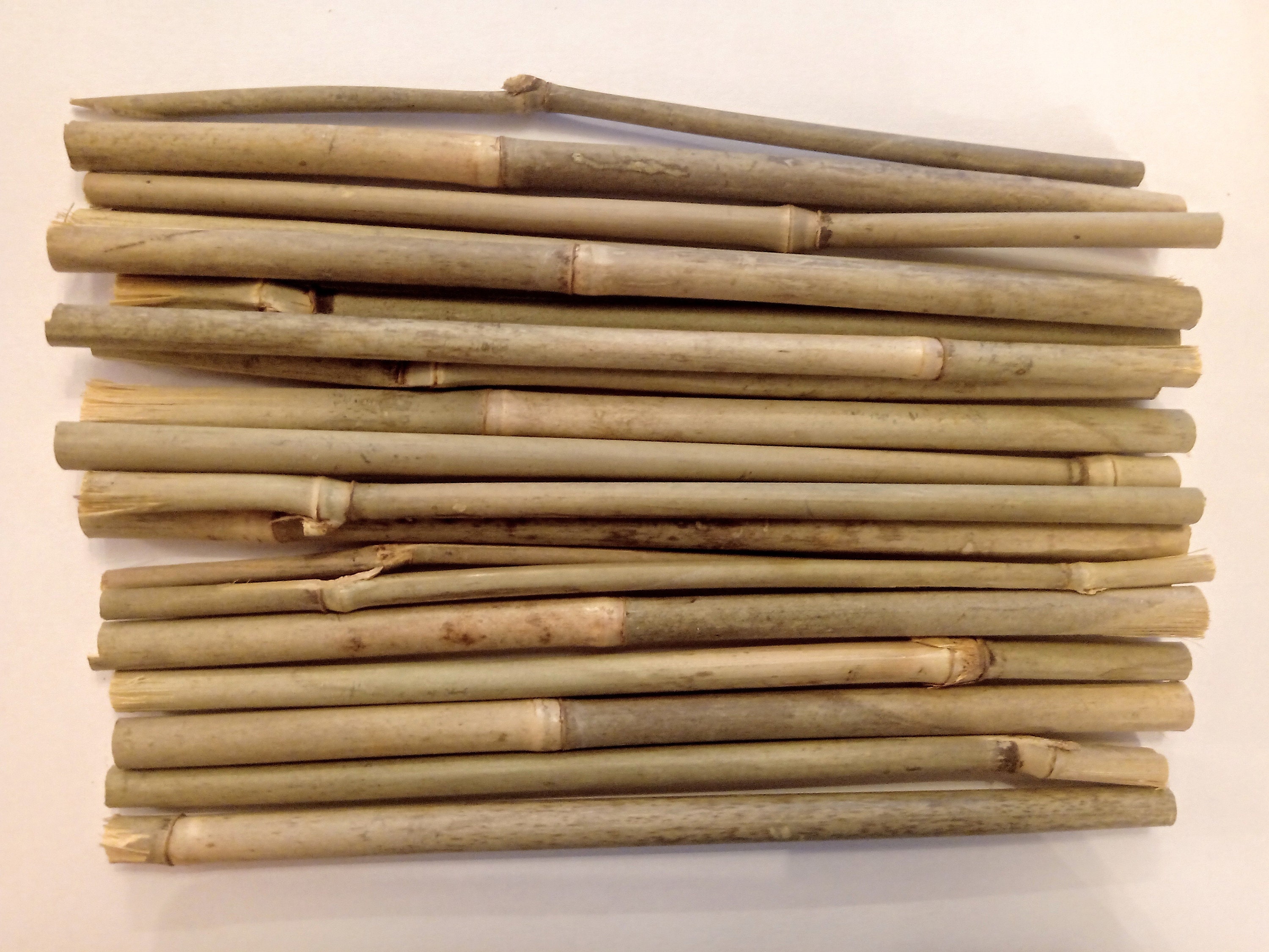 Natural River Cane Bamboo Dried Bamboo Sticks 7.5inc 20cm Etsy