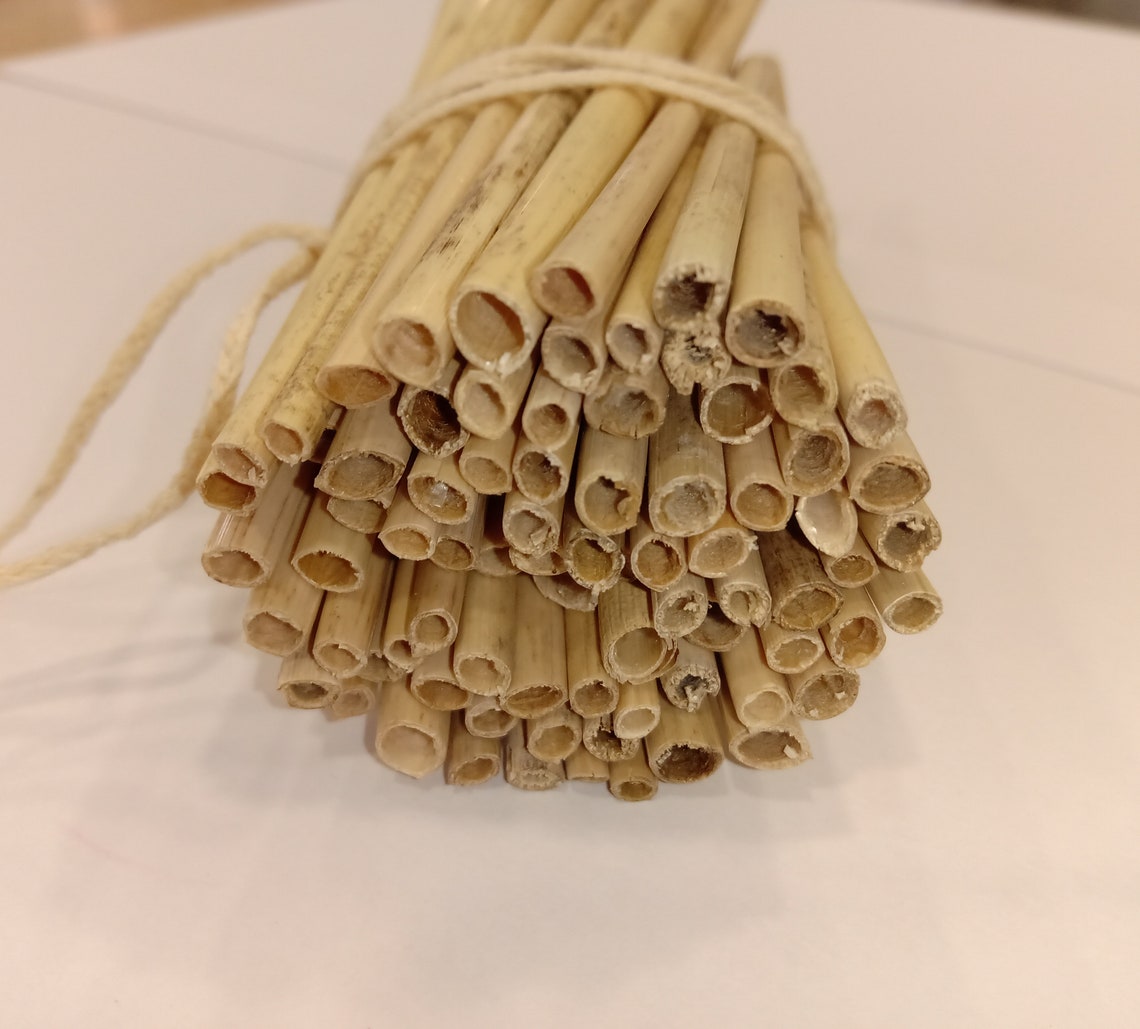 100pcs Ecological Dried Reeds Straws Stems for Craft project Etsy