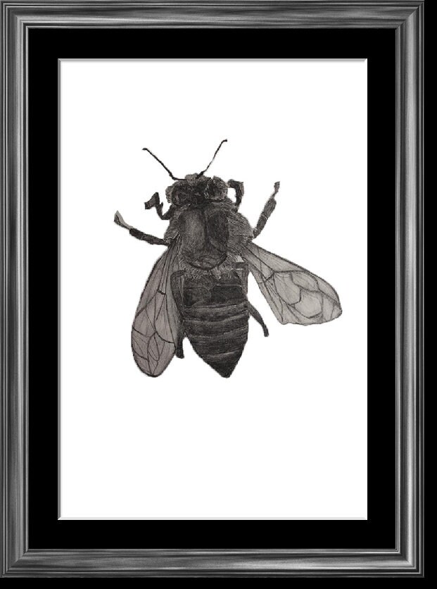 Illustration d'artiste, Abeille, Décoration Murale