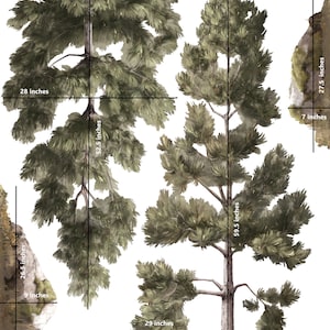 Forest / woodland pine trees, aspen trees, and boulders, peel and stick wall decals for a boy nursery or bedroom. Explore the Grit set image 5