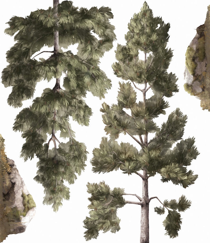 Forest / woodland pine trees, aspen trees, and boulders, peel and stick wall decals for a boy nursery or bedroom. Explore the Grit set image 2