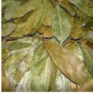 SOURSOP LEAVES (JAMAICAN)