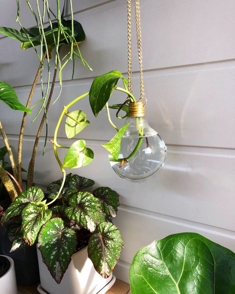 Large Light Globe Vase Etsy
