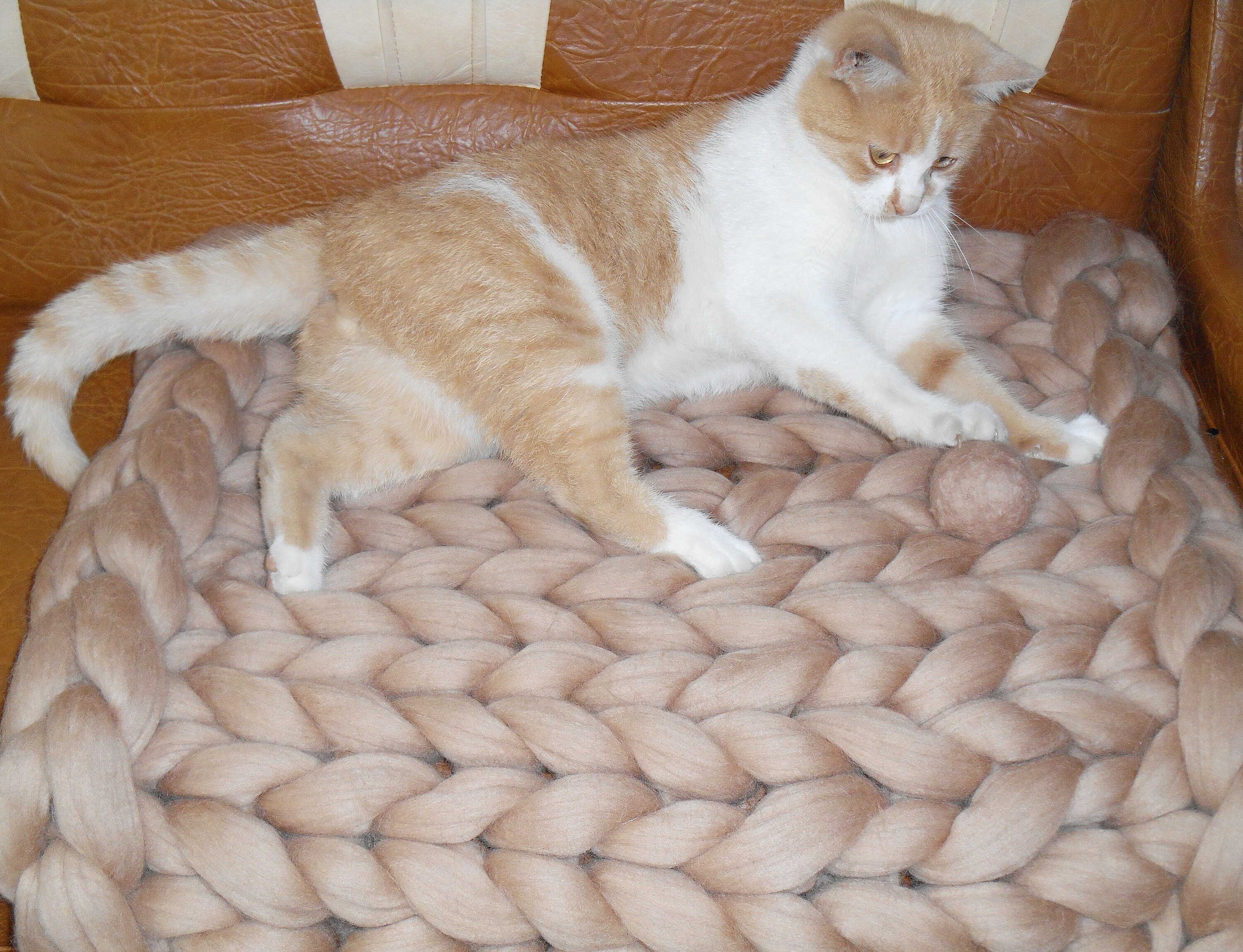 Cat bed Blanket Chunky Knit Blanket Giant knit blanket Etsy