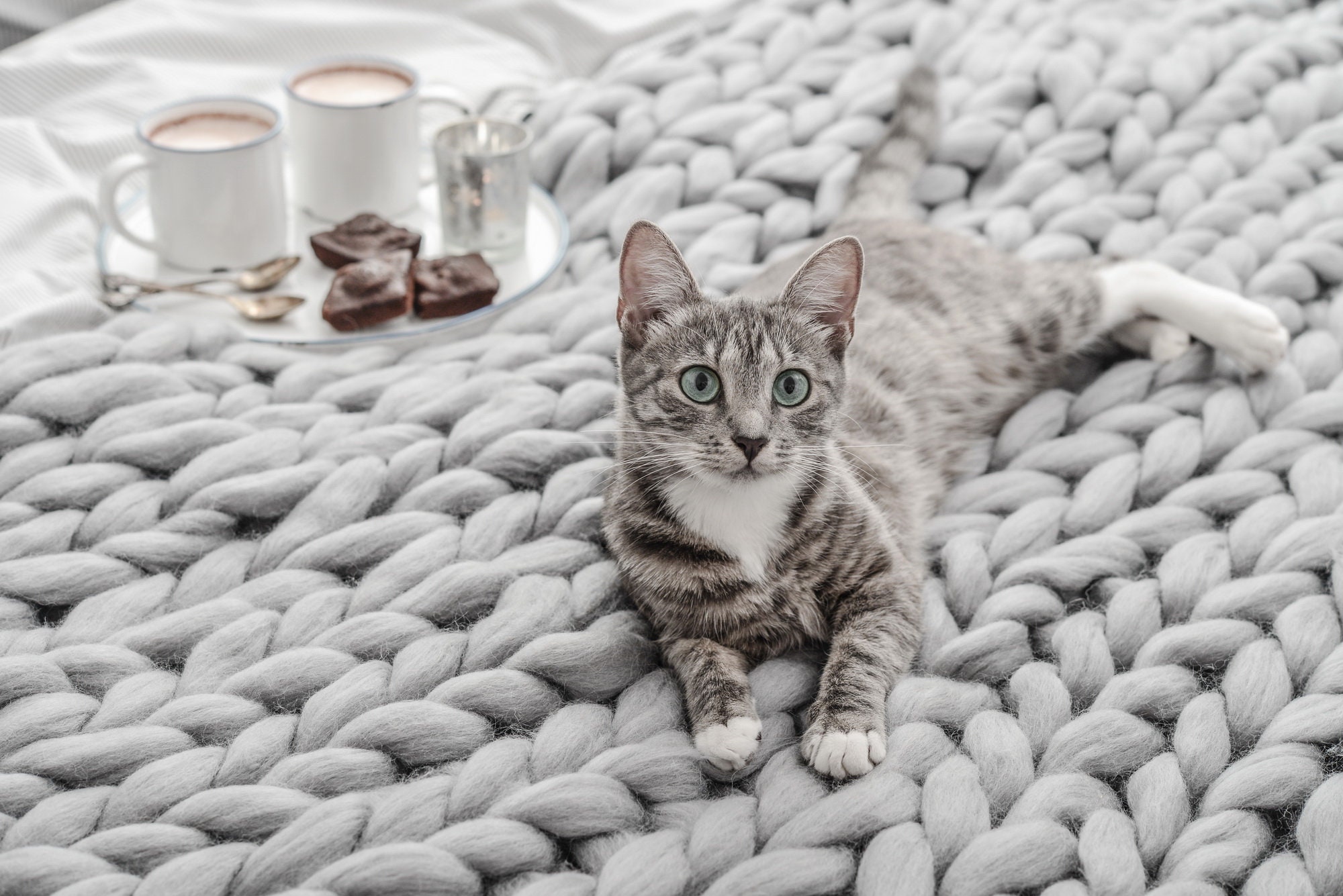 Cat Chunky Knit Blanket Premium Giant Knit Blanket Chunky Etsy