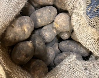 Certified First Grade  Norkotah Russet Seed Potatoes Non GMO