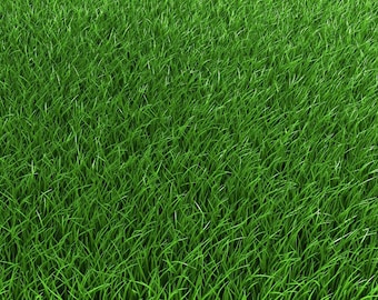 5 Lbs Creeping Red Fescue Grass Seed - Shade Tolerant, Fine Texture, Improved Variety