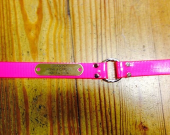 Personalized Plastic Coated Nylon 1" Dog Collar Orange, Red, Blue or Pink