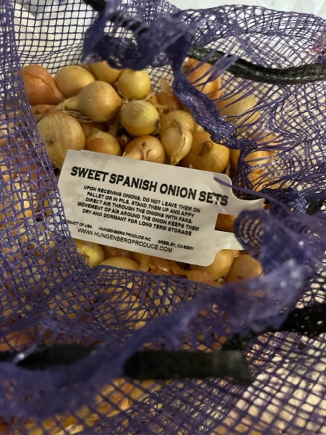 Sweet Spanish Onion Sets Etsy