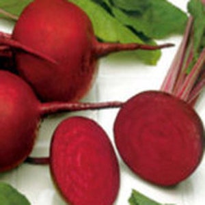 Heirloom  Detroit Dark Red Beet Seeds Non GMO