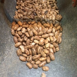 May include: A large metal container filled with brown pinto beans.