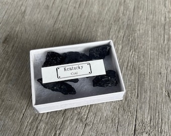 Real pieces of Coal from a Kentucky Coal Mine. Box of coal