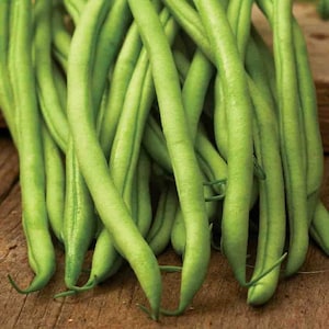 May include: A close-up of a pile of fresh, vibrant green string beans. The beans are long, slender, and slightly curved, with a smooth texture. They are arranged on a rustic, wooden surface, showcasing their natural color and form.