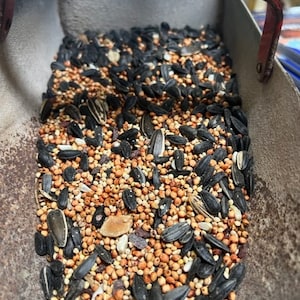 Premium Wild Bird Feed NO CORN