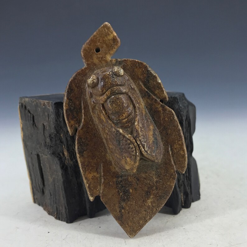 The hand-carved old jade cicada pendant of China