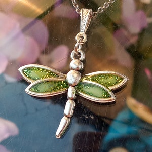 Dragonfly 058
