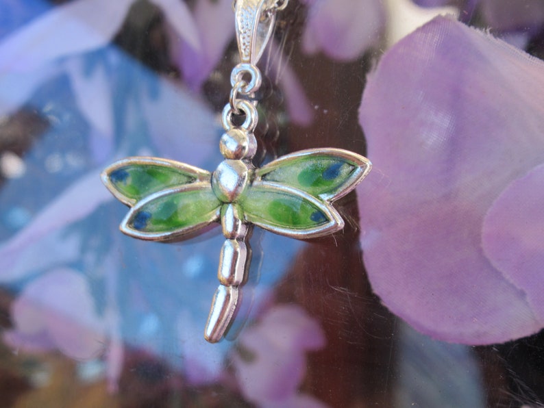 Dragonfly 020