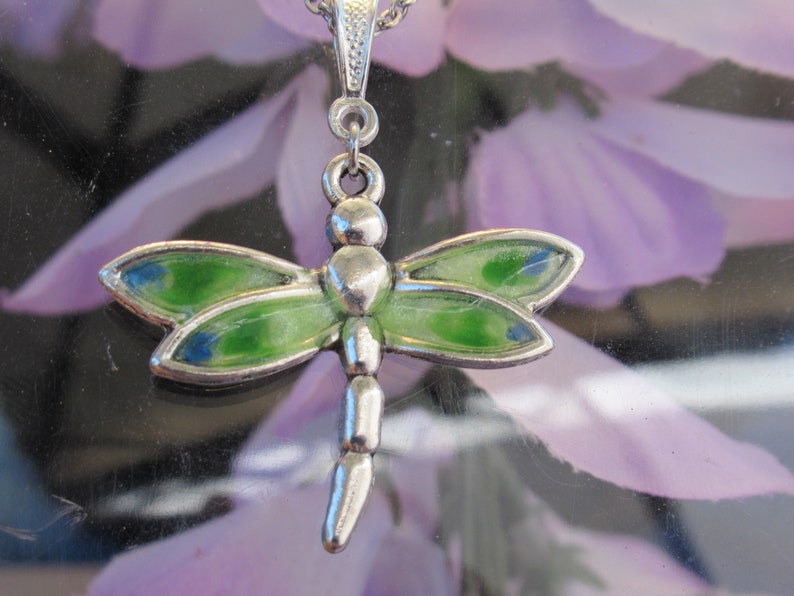 Dragonfly 020