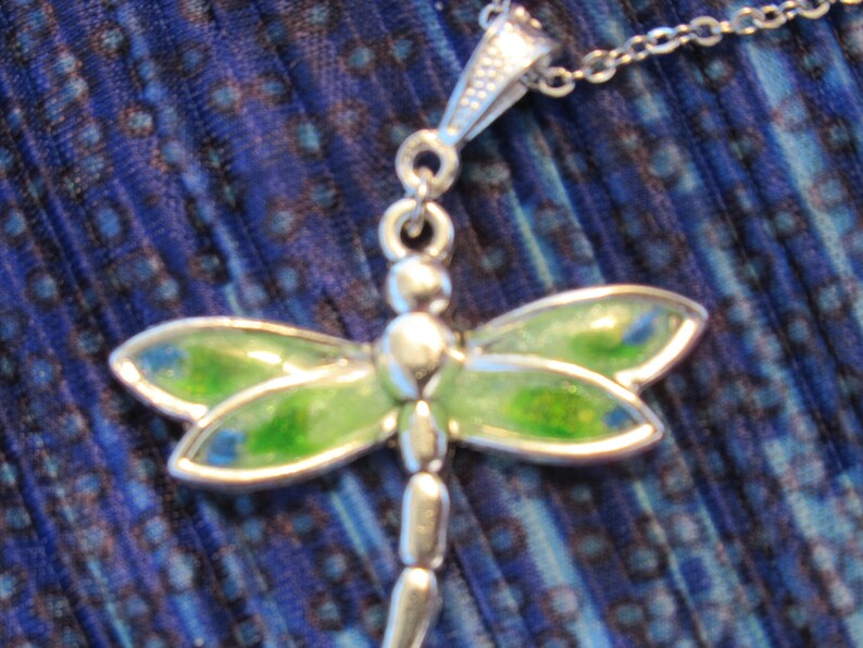 Dragonfly 020