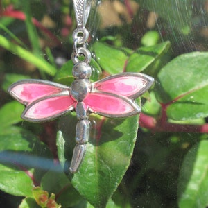 Dragonfly 045