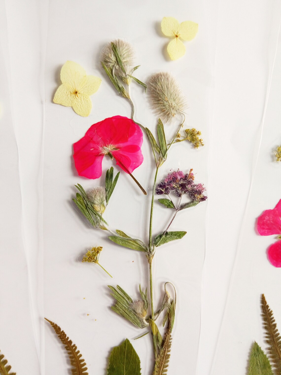 Pressed flower bookmark laminated dry flowers wild flowers Etsy