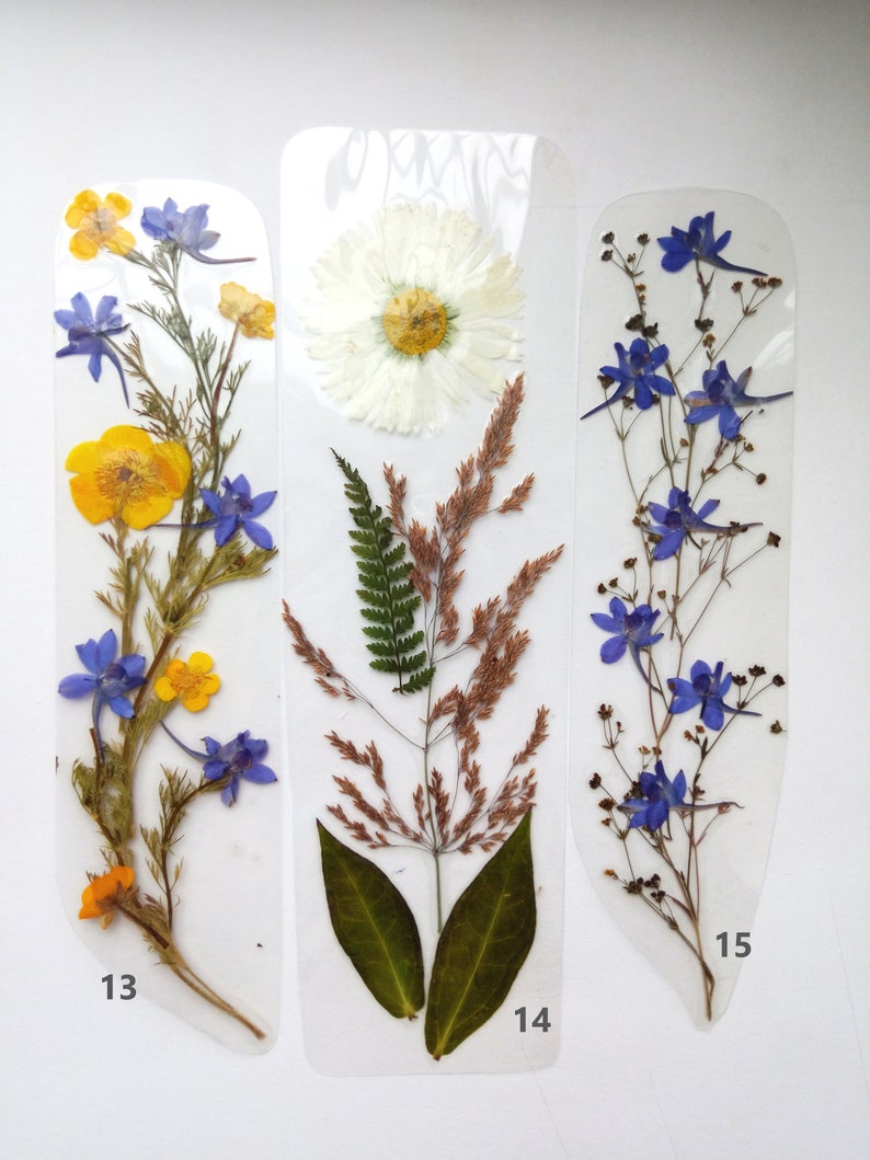 Laminated Bookmarks Pressed Flowers Dried Flowers Accessory Etsy