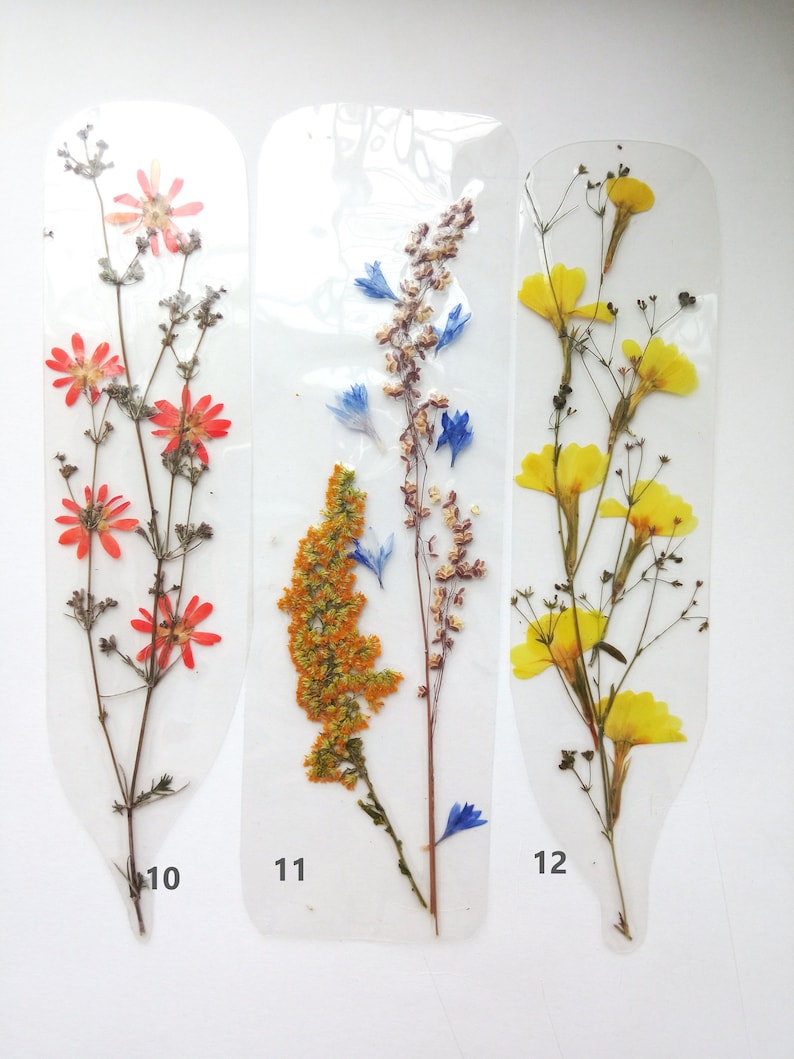 Laminated Bookmarks Pressed Flowers Dried Flowers Accessory Etsy