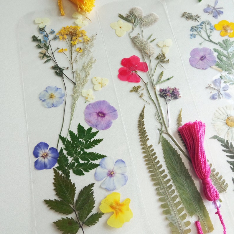 Laminated Bookmarks Pressed Flowers Dried Flowers Accessory Etsy
